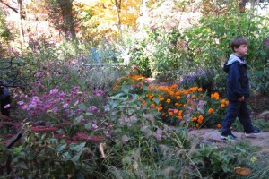 Bookworm Gardens